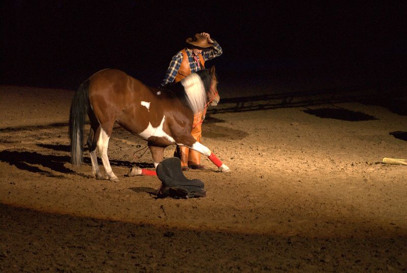 Фотографии -> Животные -> Лошади ->  Шоу Лоренсо в СКК (11 мая 2007) -> Шоу Лоренсо в СКК (11 мая 2007) - 058