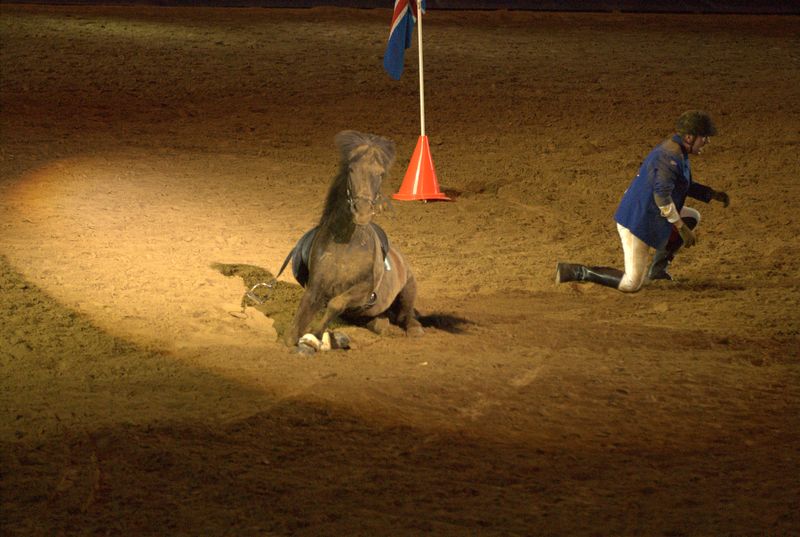 Фотографии -> Животные -> Лошади ->  Шоу Лоренсо в СКК (11 мая 2007) -> Шоу Лоренсо в СКК (11 мая 2007) - 078