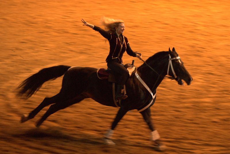 Фотографии -> Животные -> Лошади ->  Шоу Лоренсо в СКК (11 мая 2007) -> Шоу Лоренсо в СКК (11 мая 2007) - 085