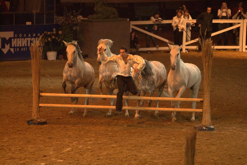Фотографии -> Животные -> Лошади ->  Шоу Лоренсо в СКК (11 мая 2007) -> Шоу Лоренсо в СКК (11 мая 2007) - 099
