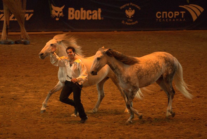 Фотографии -> Животные -> Лошади ->  Шоу Лоренсо в СКК (11 мая 2007) -> Шоу Лоренсо в СКК (11 мая 2007) - 110
