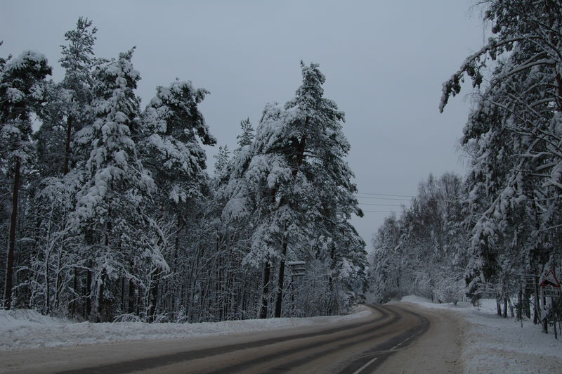 Фотографии -> Встречи -> Шеви-Дэу клуб -> Выезд Шеви-Дэу клуба на базу Авроровец 03-06.01.2006 -> День третий ->  На природе -> На природе - 008