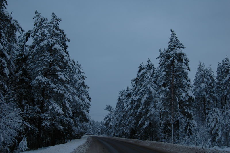 Фотографии -> Встречи -> Шеви-Дэу клуб -> Выезд Шеви-Дэу клуба на базу Авроровец 03-06.01.2006 -> День третий ->  На природе -> На природе - 021