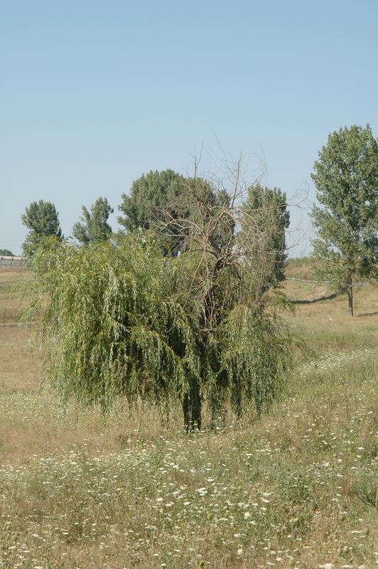 Фотографии -> Поездки -> Поездка в Болгарию (15-22 августа 2006) ->  День четвёртый. Прогулка в Пловдив -> День четвёртый. Прогулка в Пловдив - 012