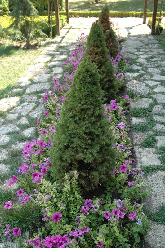 Фотографии -> Поездки -> Поездка в Болгарию (15-22 августа 2006) ->  День пятый. Прогулка в Ботанический сад -> День пятый. Прогулка в Ботанический сад - 023