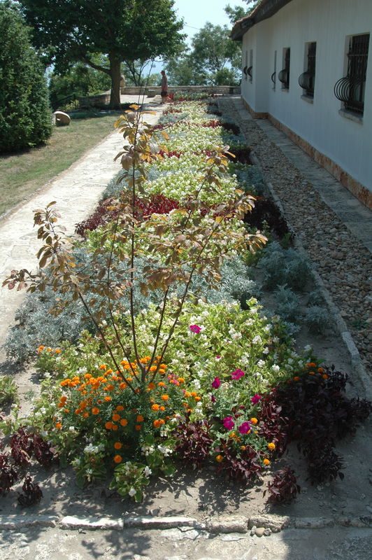 Фотографии -> Поездки -> Поездка в Болгарию (15-22 августа 2006) ->  День пятый. Прогулка в Ботанический сад -> День пятый. Прогулка в Ботанический сад - 026
