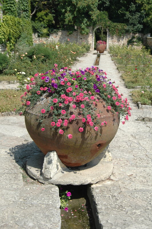 Фотографии -> Поездки -> Поездка в Болгарию (15-22 августа 2006) ->  День пятый. Прогулка в Ботанический сад -> День пятый. Прогулка в Ботанический сад - 120