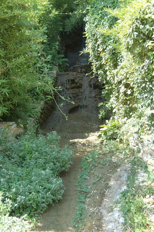 Фотографии -> Поездки -> Поездка в Болгарию (15-22 августа 2006) ->  День пятый. Прогулка в Ботанический сад -> День пятый. Прогулка в Ботанический сад - 148
