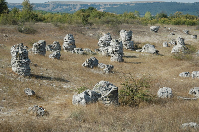 Фотографии -> Поездки -> Поездка в Болгарию (15-22 августа 2006) ->  День пятый. Прогулка в Ботанический сад -> День пятый. Прогулка в Ботанический сад - 190