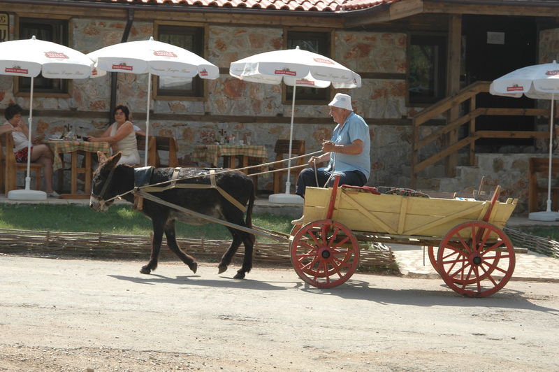 Фотографии -> Поездки -> Поездка в Болгарию (15-22 августа 2006) ->  День седьмой. Джип-сафари -> День седьмой. Джип-сафари - 136