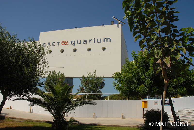Фотографии -> Поездки -> Отпуск на Крите (24 августа - 18 сентября 2013) ->  Критский аквариум -> Критский аквариум - 005