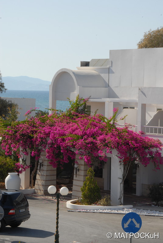 Фотографии -> Поездки -> Отпуск на Крите (24 августа - 18 сентября 2013) ->  В гостинице -> В гостинице - 006