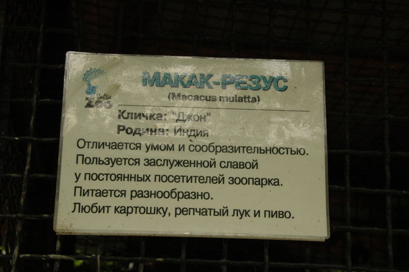 Фотографии -> Поездки -> Отпуск в Крыму (28 июня - 26 июля 2008) ->  Ялтинский зоопарк -> Ялтинский зоопарк - 021