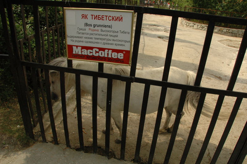 Фотографии -> Поездки -> Отпуск в Крыму (28 июня - 26 июля 2008) ->  Ялтинский зоопарк -> Ялтинский зоопарк - 145