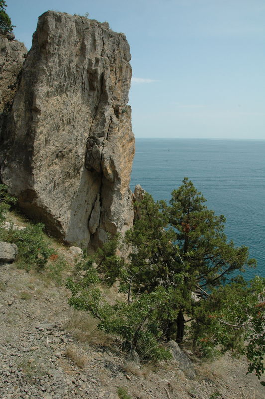 Фотографии -> Поездки -> Отпуск в Крыму (28 июня - 26 июля 2008) ->  Новый свет -> Новый свет - 027