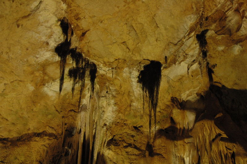 Фотографии -> Поездки -> Отпуск в Крыму (28 июня - 26 июля 2008) ->  Мраморная пещера -> Мраморная пещера - 009