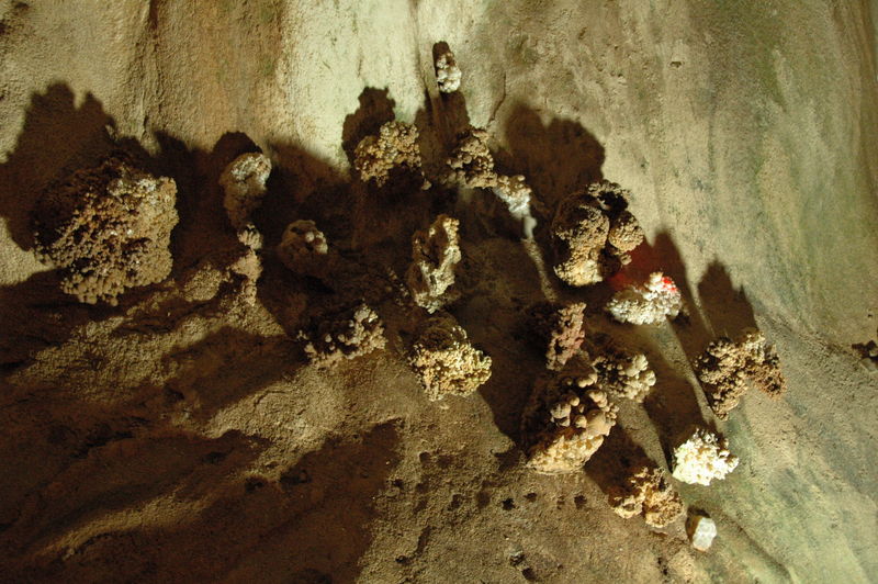 Фотографии -> Поездки -> Отпуск в Крыму (28 июня - 26 июля 2008) ->  Мраморная пещера -> Мраморная пещера - 019