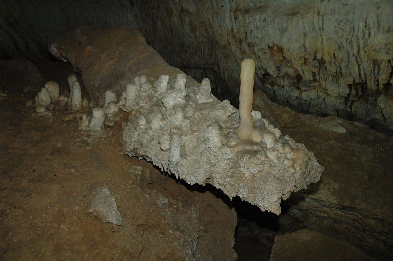 Фотографии -> Поездки -> Отпуск в Крыму (28 июня - 26 июля 2008) ->  Мраморная пещера -> Мраморная пещера - 039