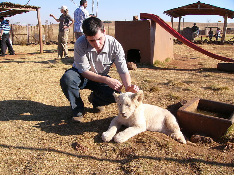 Фотографии -> Поездки -> 2-я поездка в Южную Африку (28 июля - 22 августа 2005) -> На отдыхе ->  Rhino & Lion Park -> Rhino & Lion Park - 153