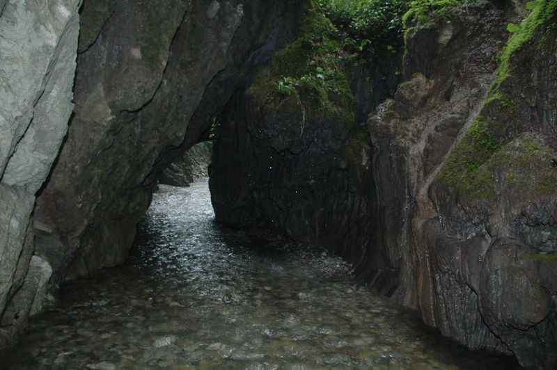 Фотографии -> Поездки -> Отпуск в Шепси (30 июня - 22 июля 2007) ->  Мамедово ущелье. Море -> Мамедово ущелье. Море - 007