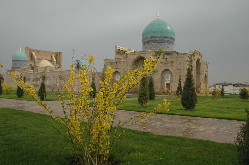 Фотографии -> Поездки ->  Поездка в Ташкент (18-24 марта 2009) -> Поездка в Ташкент (18-24 марта 2009) - 082