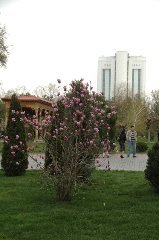 Фотографии -> Поездки ->  Поездка в Ташкент (18-24 марта 2009) -> Поездка в Ташкент (18-24 марта 2009) - 183