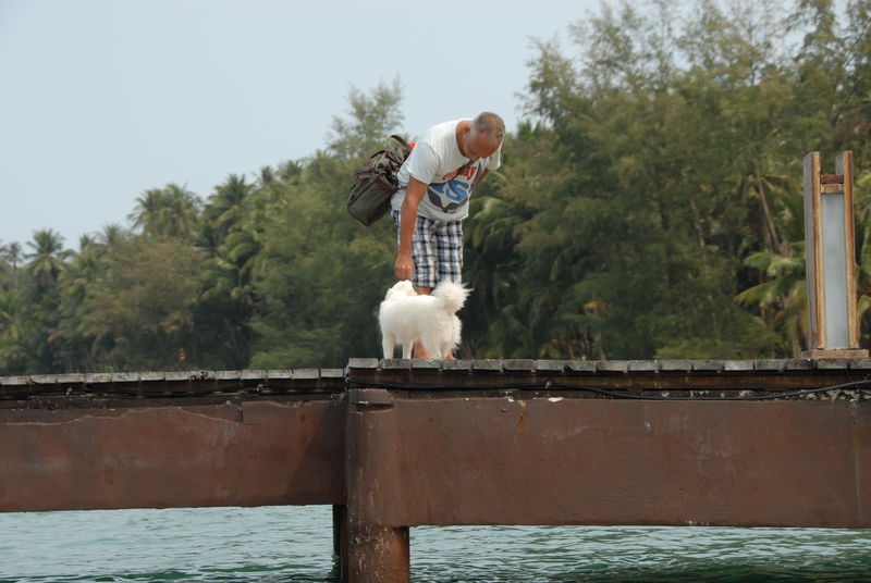 Фотографии -> Поездки -> Отпуск на острове Чанг (7-19 февраля 2011) ->  Животные -> Животные - 013