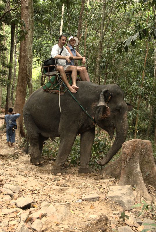 Фотографии -> Поездки -> Отпуск на острове Чанг (7-19 февраля 2011) ->  Прогулка на слонах -> Прогулка на слонах - 011