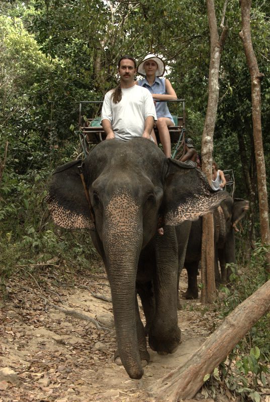 Фотографии -> Поездки -> Отпуск на острове Чанг (7-19 февраля 2011) ->  Прогулка на слонах -> Прогулка на слонах - 012