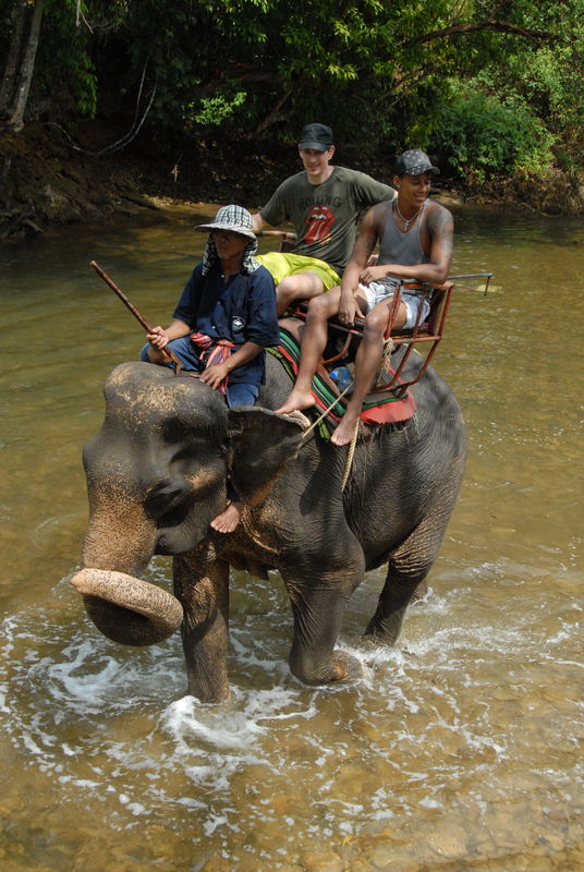 Фотографии -> Поездки -> Отпуск на острове Чанг (7-19 февраля 2011) ->  Прогулка на слонах -> Прогулка на слонах - 014