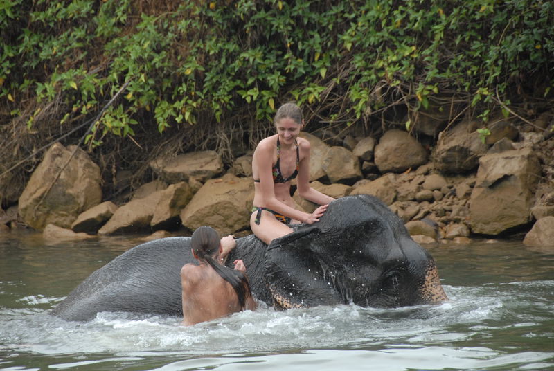 Фотографии -> Поездки -> Отпуск на острове Чанг (7-19 февраля 2011) ->  Прогулка на слонах -> Прогулка на слонах - 015