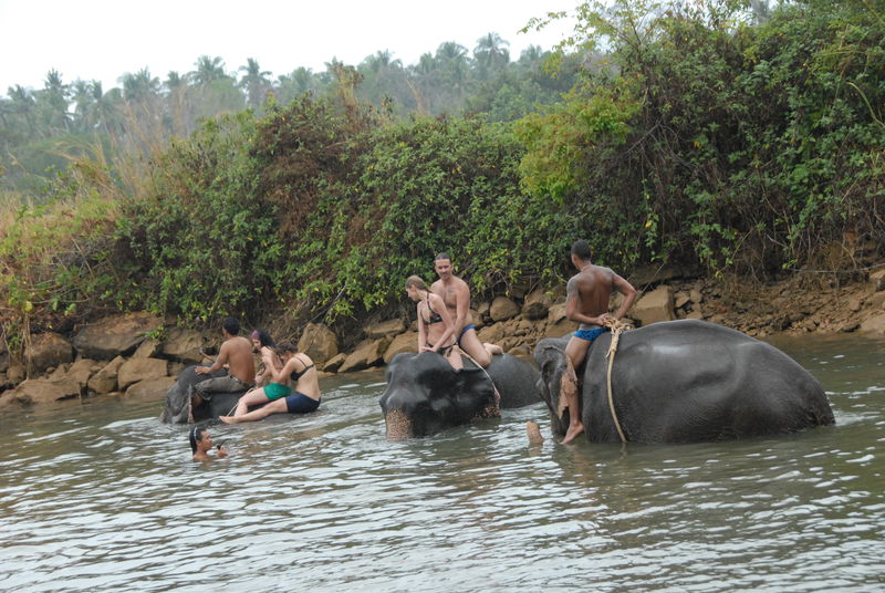 Фотографии -> Поездки -> Отпуск на острове Чанг (7-19 февраля 2011) ->  Прогулка на слонах -> Прогулка на слонах - 016
