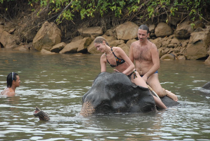 Фотографии -> Поездки -> Отпуск на острове Чанг (7-19 февраля 2011) ->  Прогулка на слонах -> Прогулка на слонах - 017