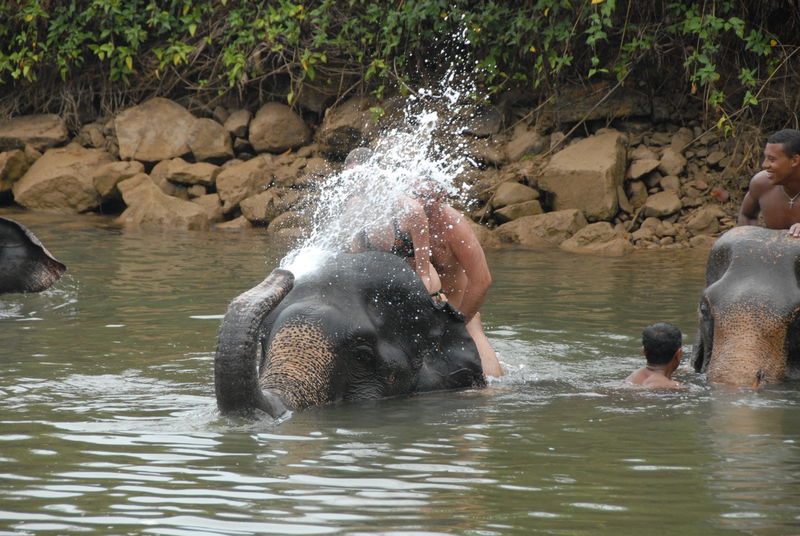 Фотографии -> Поездки -> Отпуск на острове Чанг (7-19 февраля 2011) ->  Прогулка на слонах -> Прогулка на слонах - 018