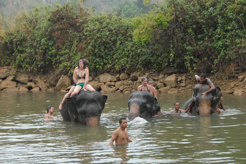 Фотографии -> Поездки -> Отпуск на острове Чанг (7-19 февраля 2011) ->  Прогулка на слонах -> Прогулка на слонах - 019