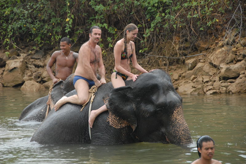 Фотографии -> Поездки -> Отпуск на острове Чанг (7-19 февраля 2011) ->  Прогулка на слонах -> Прогулка на слонах - 020