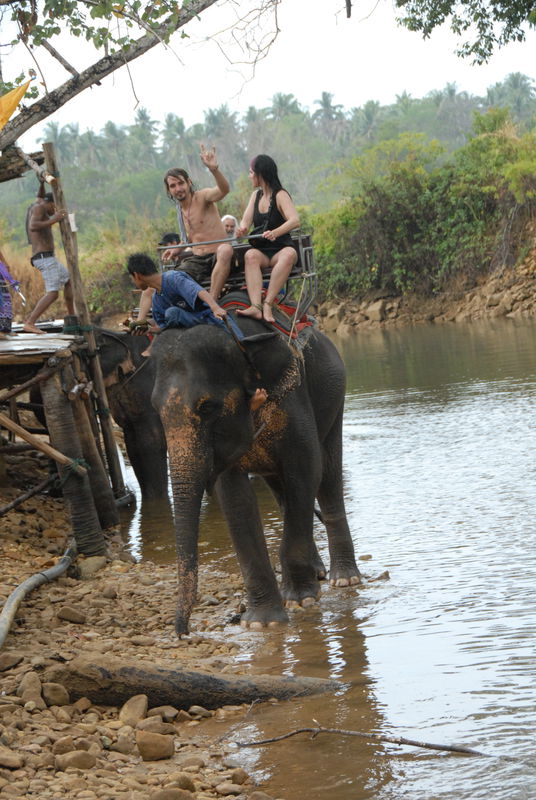 Фотографии -> Поездки -> Отпуск на острове Чанг (7-19 февраля 2011) ->  Прогулка на слонах -> Прогулка на слонах - 022