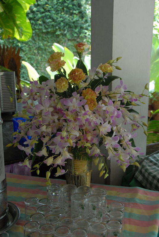 Фотографии -> Поездки -> Отпуск на острове Чанг (7-19 февраля 2011) ->  Цветы -> Цветы - 002
