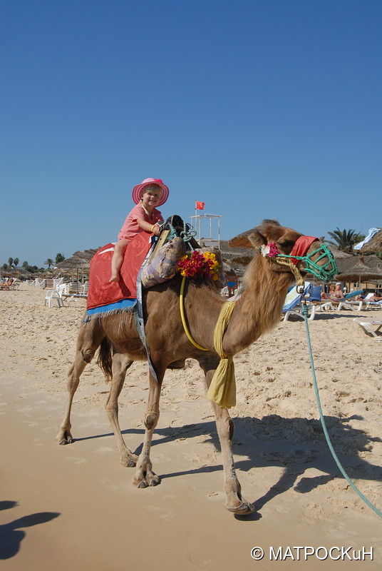 Фотографии -> Поездки -> Отпуск в Тунисе (15-30 сентября 2016) ->  Мы на отдыхе -> Мы на отдыхе - 016