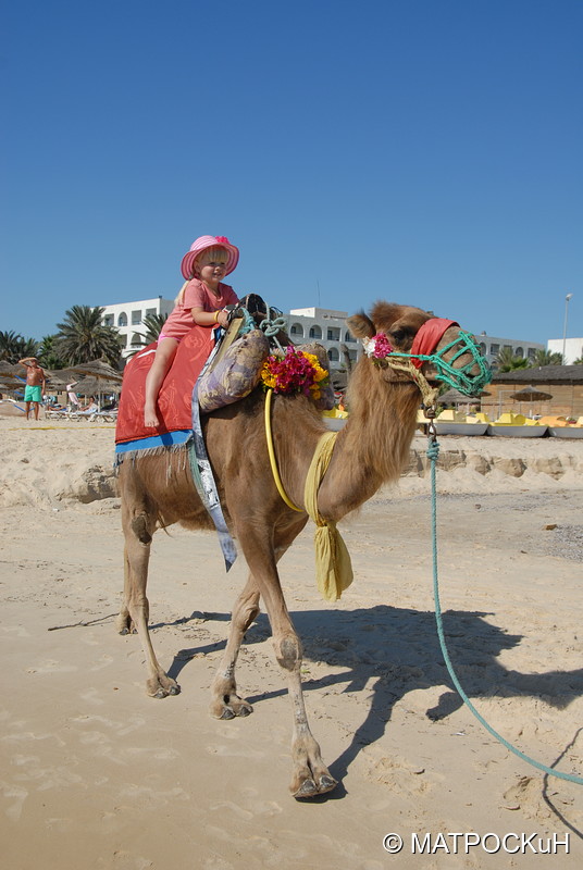Фотографии -> Поездки -> Отпуск в Тунисе (15-30 сентября 2016) ->  Мы на отдыхе -> Мы на отдыхе - 018
