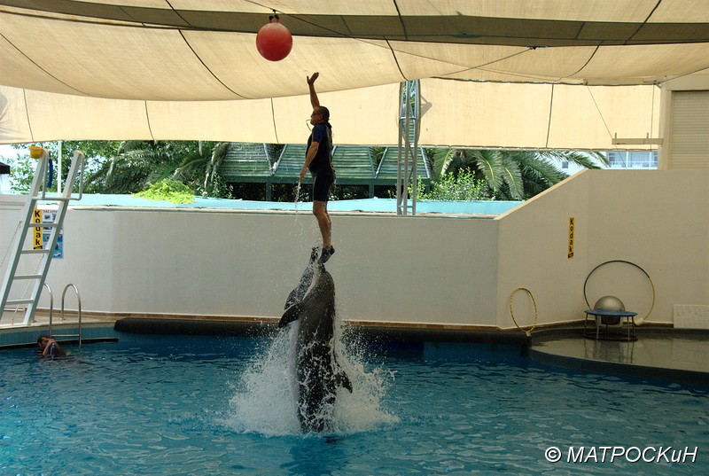 Фотографии -> Поездки -> Отпуск в Кемере (23 июля - 4 августа 2011) ->  Шоу дельфинов -> Шоу дельфинов - 016