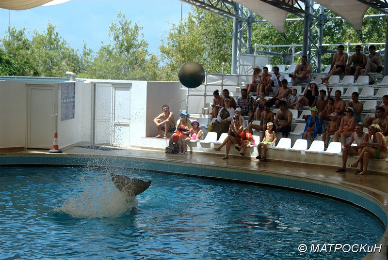 Фотографии -> Поездки -> Отпуск в Кемере (23 июля - 4 августа 2011) ->  Шоу дельфинов -> Шоу дельфинов - 035